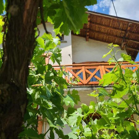 Вила 111 Sapareva Banya Exterior foto