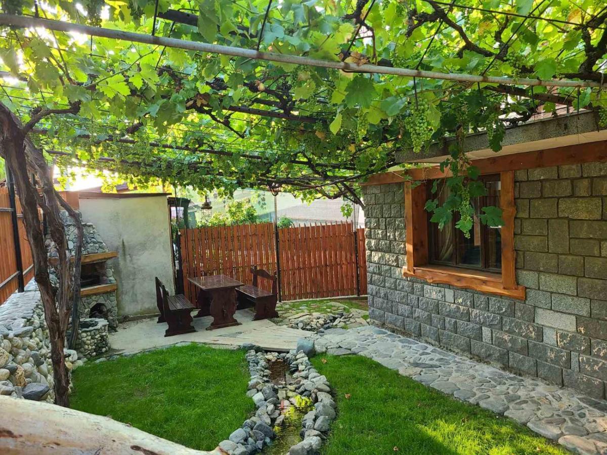 Вила 111 Sapareva Banya Exterior foto