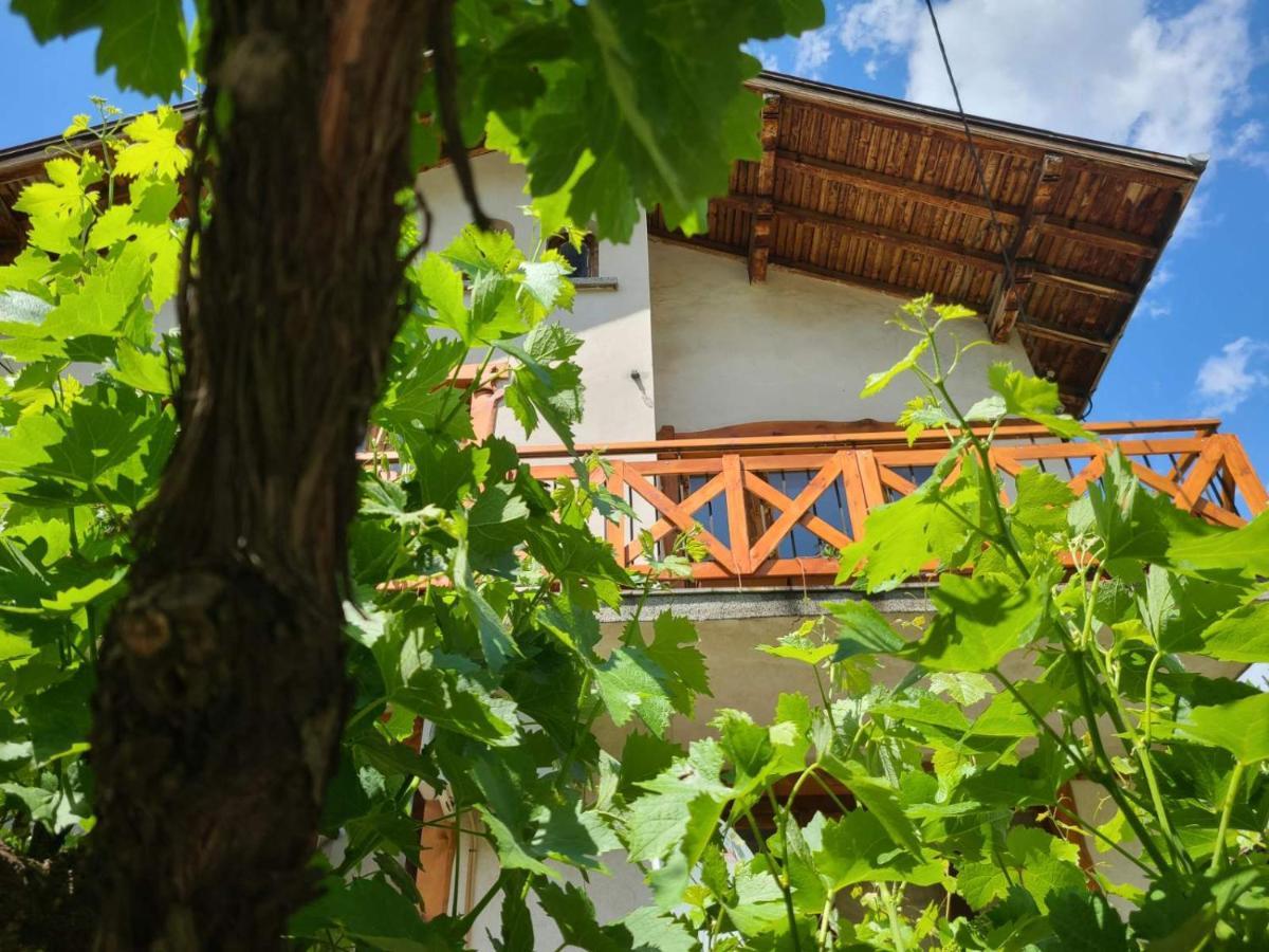 Вила 111 Sapareva Banya Exterior foto