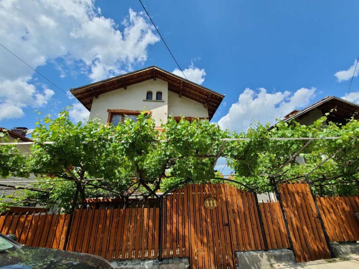 Вила 111 Sapareva Banya Exterior foto